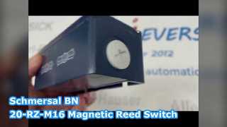 Interruptor de láminas magnético Schmersal BN 20-RZ-M16