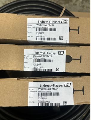 Sensor de medición de nivel de líquido por presión estática Endress Hauser FMX21-21JM0/0