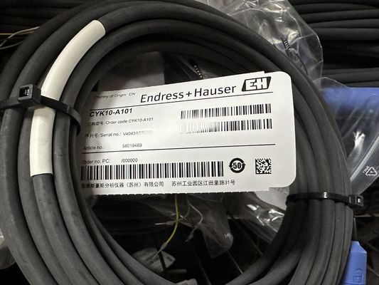 CYK10-A101 CYK10 Instrumentos Endress+Hauser IP68: el valor de las pruebas de detección y de las pruebas de detección se debe calcular en función de las características de los instrumentos.
