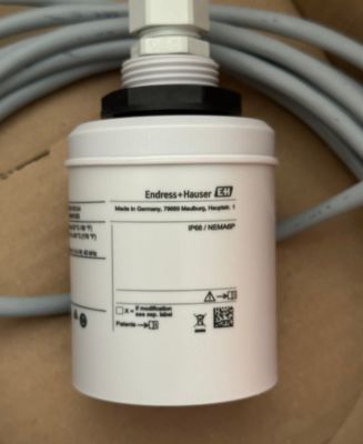 Sensor de nivel ultrasónico Endress Hauser FDU91-RG1AA