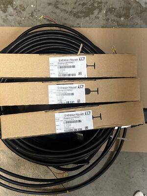 Endress Hauser MX21-21JM0/0 Interruptor de nivel capacitivo de alta precisión para el control de procesos industriales