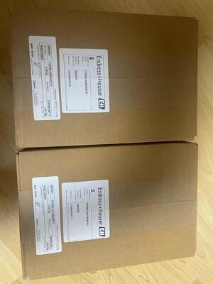 Endress Hauser FQR56-AAEAAXFA1 Generador de señal de alta estabilidad para sistemas de medición industriales