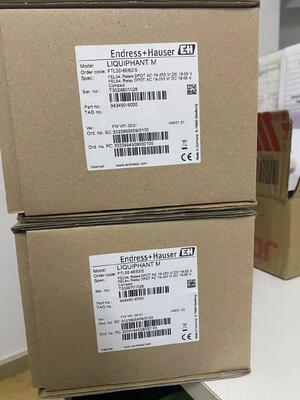 Endress Hauser FTL50-1DN80/0 Interruptor de nivel de punto vibrónico